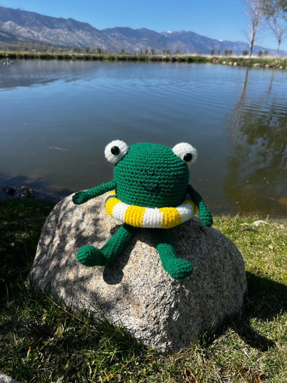 Hand Crocheted Silly Summer Frog with Pool Floatie Stuffed Animal Plushie!